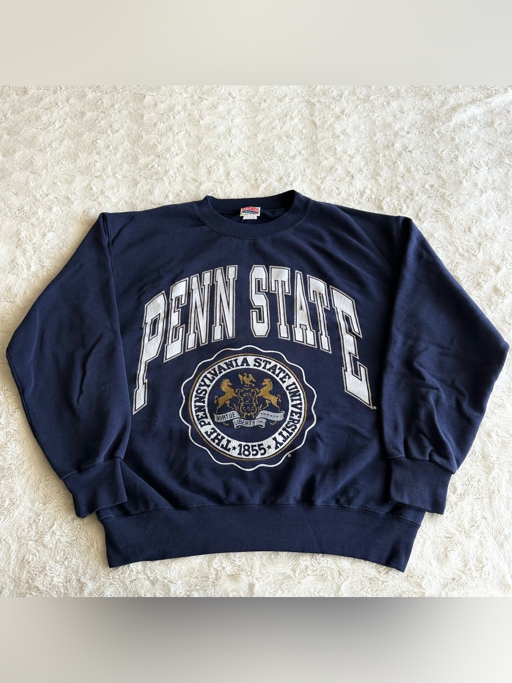 Vintage Penn State Sweatshirt Crewneck Mens Large Nutmeg Nittany Lions PSU 90s